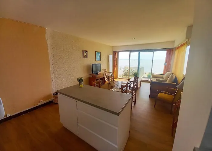 Appartement - Vue Pour Cet Face A La - Grande Conche *